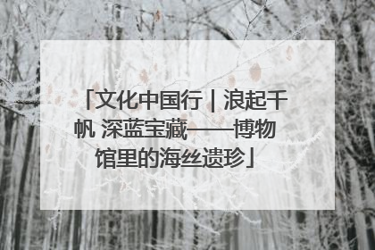 文化中国行｜浪起千帆 深蓝宝藏——博物馆里的海丝遗珍