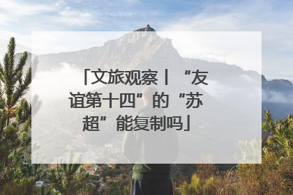 文旅观察丨“友谊第十四”的“苏超”能复制吗