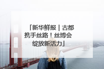 新华鲜报｜古都携手丝路！丝博会绽放新活力