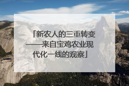 新农人的三重转变——来自宝鸡农业现代化一线的观察
