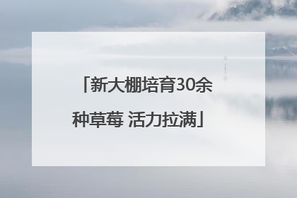 新大棚培育30余种草莓 活力拉满