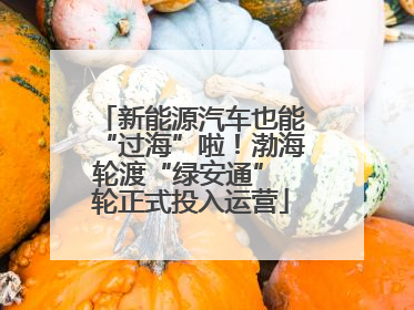 新能源汽车也能“过海”啦！渤海轮渡“绿安通” 轮正式投入运营