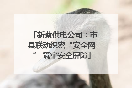 新蔡供电公司：市县联动织密“安全网” 筑牢安全屏障