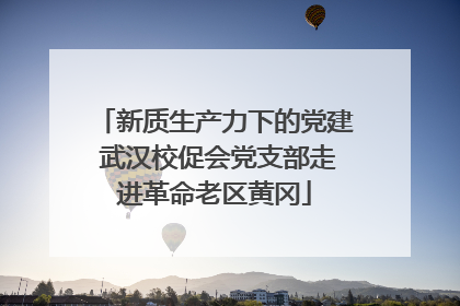 新质生产力下的党建 武汉校促会党支部走进革命老区黄冈