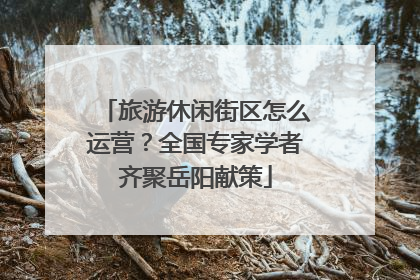 旅游休闲街区怎么运营？全国专家学者齐聚岳阳献策