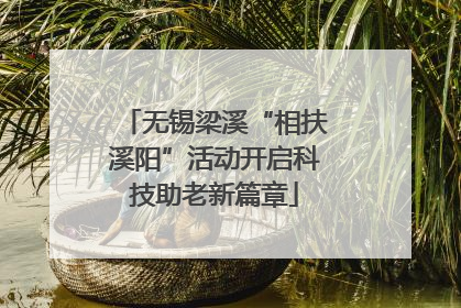 无锡梁溪“相扶溪阳”活动开启科技助老新篇章