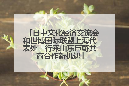 日中文化经济交流会和世博国际联盟上海代表处一行来山东巨野共商合作新机遇
