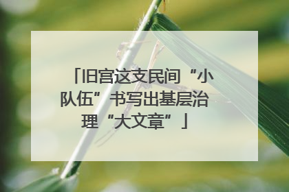 旧宫这支民间“小队伍”书写出基层治理“大文章”