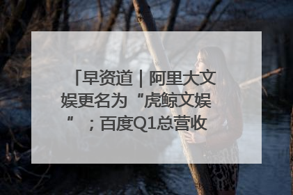 早资道｜阿里大文娱更名为“虎鲸文娱”；百度Q1总营收325亿元超预期