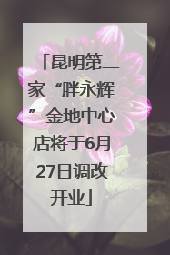 昆明第二家“胖永辉”金地中心店将于6月27日调改开业