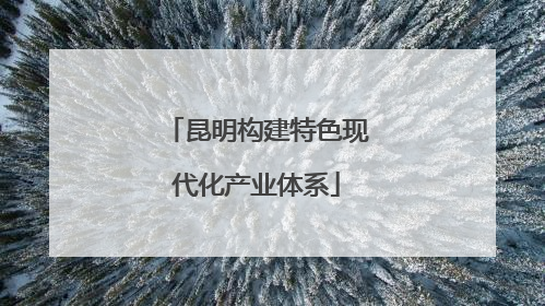 昆明构建特色现代化产业体系
