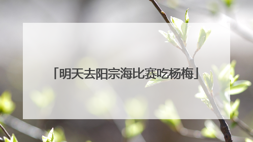 明天去阳宗海比赛吃杨梅