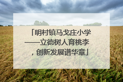明村镇马戈庄小学——立德树人育桃李，创新发展谱华章