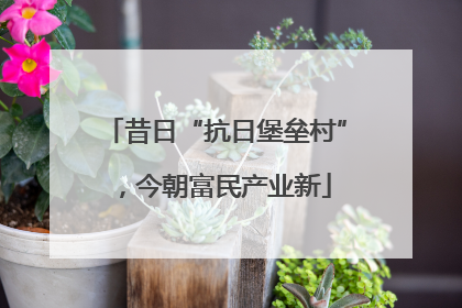 昔日“抗日堡垒村”，今朝富民产业新
