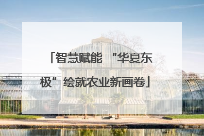 智慧赋能 “华夏东极”绘就农业新画卷