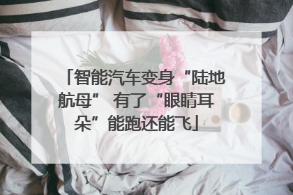 智能汽车变身“陆地航母” 有了“眼睛耳朵”能跑还能飞