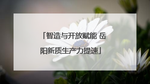 智造与开放赋能 岳阳新质生产力提速