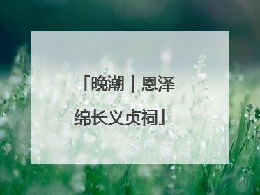 晚潮｜恩泽绵长义贞祠