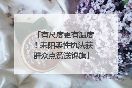 有尺度更有温度！耒阳柔性执法获群众点赞送锦旗