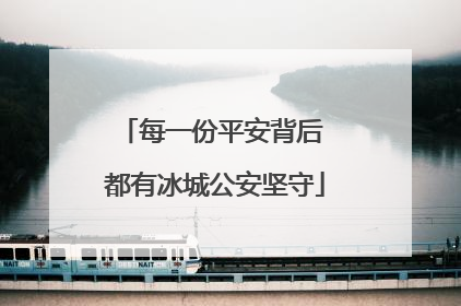 每一份平安背后 都有冰城公安坚守