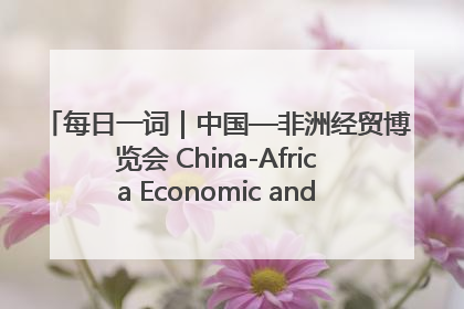 每日一词｜中国—非洲经贸博览会 China-Africa Economic and Trade Expo