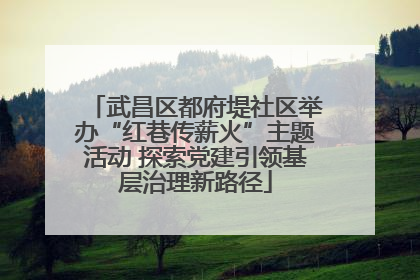 武昌区都府堤社区举办“红巷传薪火”主题活动 探索党建引领基层治理新路径
