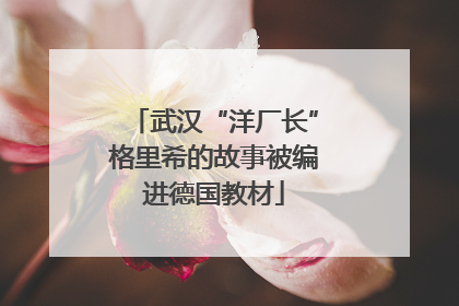 武汉“洋厂长”格里希的故事被编进德国教材