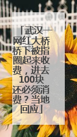 武汉一网红大桥桥下被指圈起来收费，进去100块还必须消费？当地回应