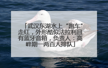 武汉东湖水上“跑车”走红，外形酷似法拉利且有蓝牙音箱，负责人：高峰期一两百人排队