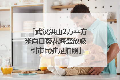 武汉洪山2万平方米向日葵花海盛放吸引市民驻足拍照
