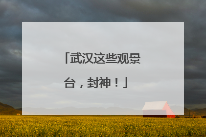 武汉这些观景台，封神！