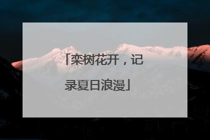 栾树花开，记录夏日浪漫