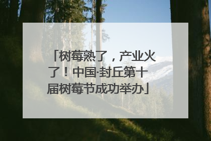 树莓熟了，产业火了！中国·封丘第十届树莓节成功举办
