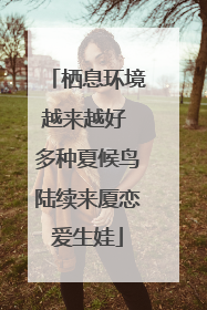 栖息环境越来越好 多种夏候鸟陆续来厦恋爱生娃