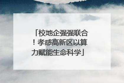 校地企强强联合！孝感高新区以算力赋能生命科学
