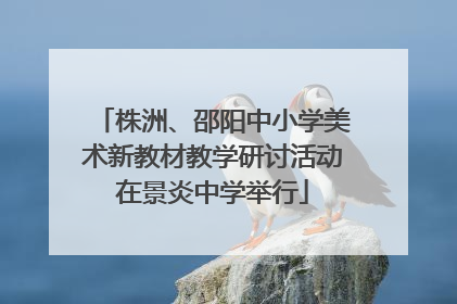 株洲、邵阳中小学美术新教材教学研讨活动在景炎中学举行