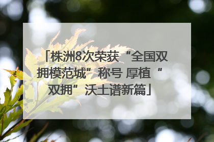 株洲8次荣获“全国双拥模范城”称号 厚植“双拥”沃土谱新篇