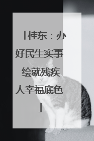 桂东：办好民生实事 绘就残疾人幸福底色