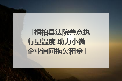 桐柏县法院善意执行显温度 助力小微企业追回拖欠租金