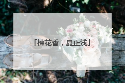楝花香，夏正浅