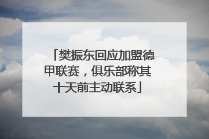 樊振东回应加盟德甲联赛，俱乐部称其十天前主动联系