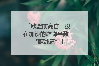 欧盟前高官：投在加沙的炸弹半数“欧洲造”