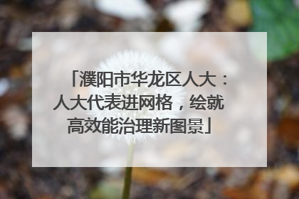 濮阳市华龙区人大：人大代表进网格，绘就高效能治理新图景