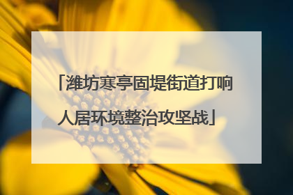 潍坊寒亭固堤街道打响人居环境整治攻坚战