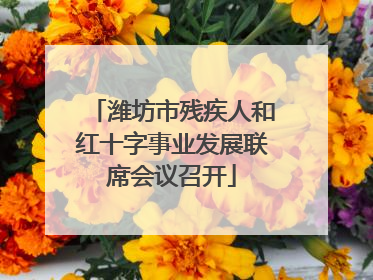 潍坊市残疾人和红十字事业发展联席会议召开
