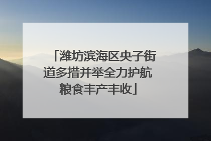 潍坊滨海区央子街道多措并举全力护航粮食丰产丰收