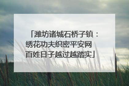 潍坊诸城石桥子镇：绣花功夫织密平安网 百姓日子越过越踏实