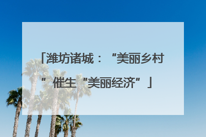 潍坊诸城：“美丽乡村”催生“美丽经济”