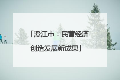 澄江市：民营经济创造发展新成果
