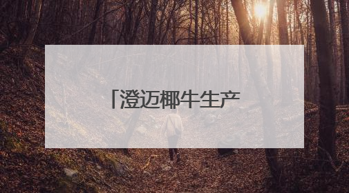 澄迈椰牛生产基地项目成功举行奠基仪式